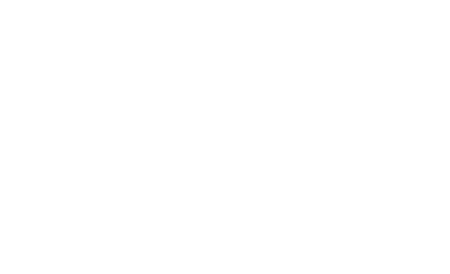 EDVision